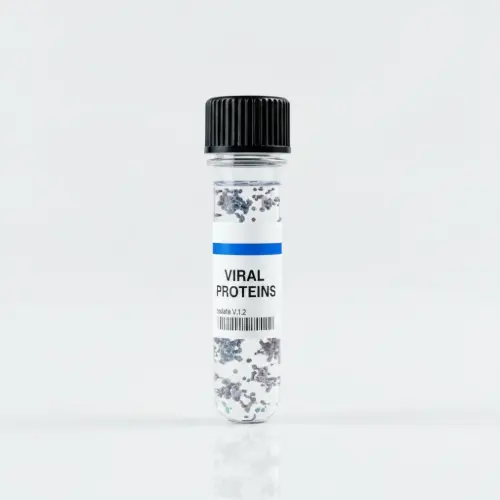 Ebola Zaire VP40